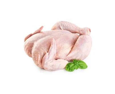 Šviežias viščiukas